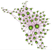 3D brain connectivity network