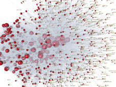 3D gene expression covariance network